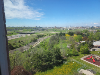 Trees, green grass, and blue skies